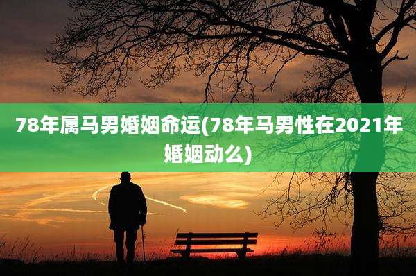78年属马男婚姻命运(78年马男性在2021年婚姻动么)