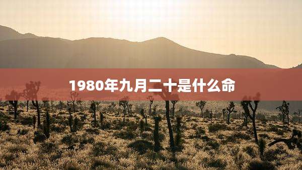 1980年九月二十是什么命