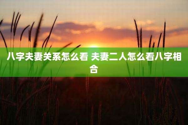 八字夫妻关系怎么看 夫妻二人怎么看八字相合