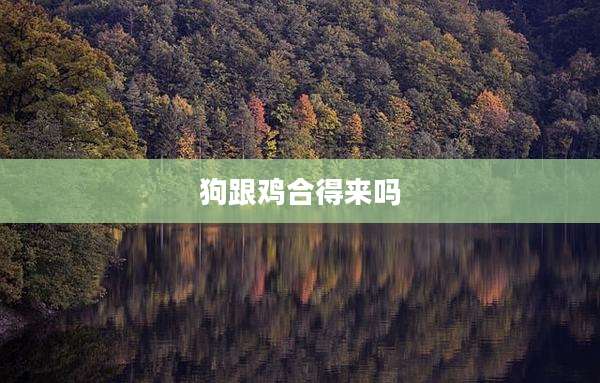 狗跟鸡合得来吗