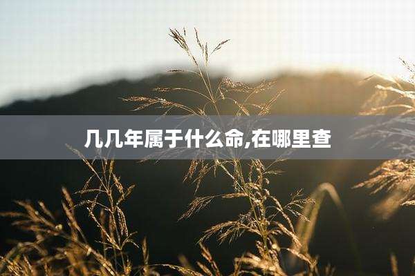 几几年属于什么命,在哪里查