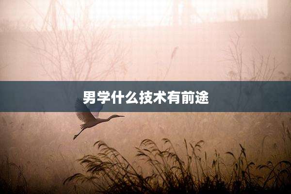 男学什么技术有前途