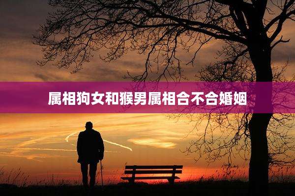 属相狗女和猴男属相合不合婚姻