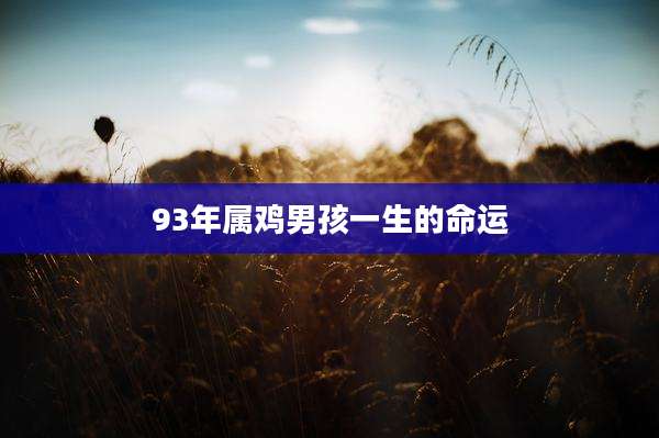 93年属鸡男孩一生的命运