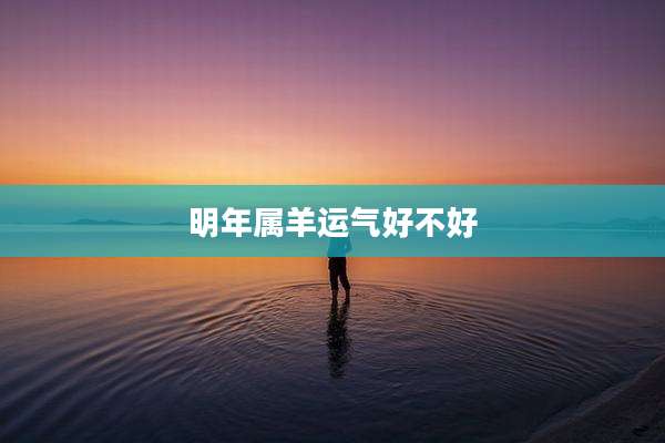 明年属羊运气好不好