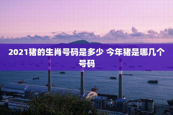 2021猪的生肖号码是多少 今年猪是哪几个号码