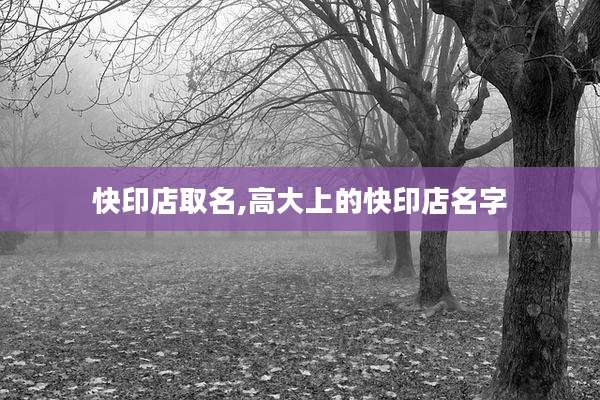 快印店取名,高大上的快印店名字