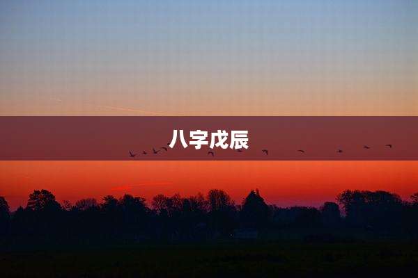 八字戊辰