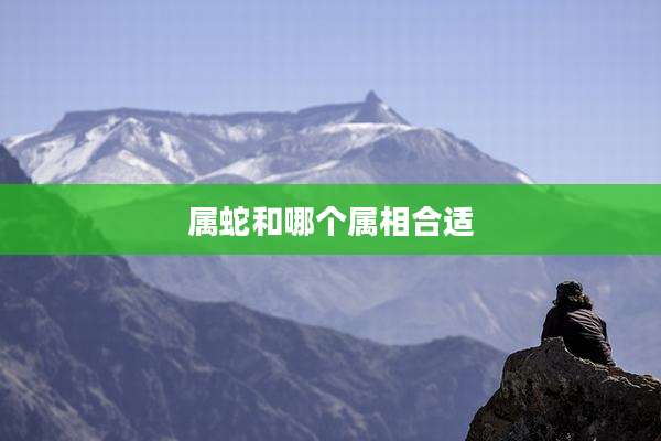 属蛇和哪个属相合适