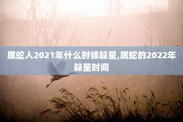 属蛇人2021年什么时候躲星,属蛇的2022年躲星时间