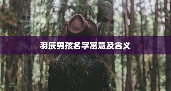 羽辰男孩名字寓意及含义