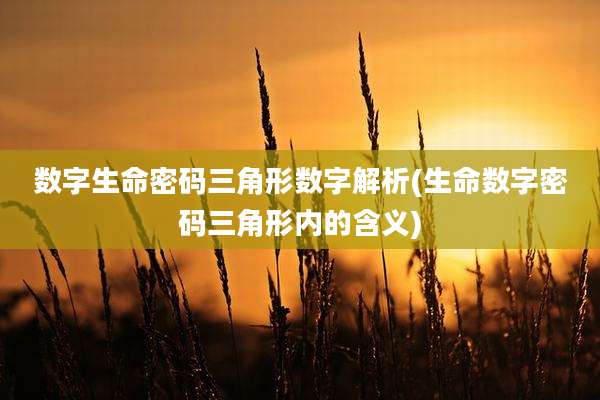 数字生命密码三角形数字解析(生命数字密码三角形内的含义)
