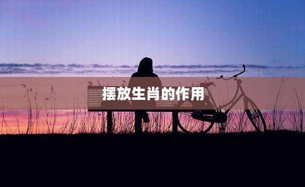 摆放生肖的作用