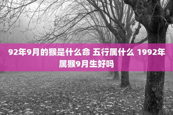 92年9月的猴是什么命 五行属什么 1992年属猴9月生好吗
