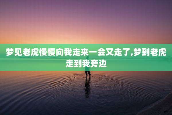 梦见老虎慢慢向我走来一会又走了,梦到老虎走到我旁边