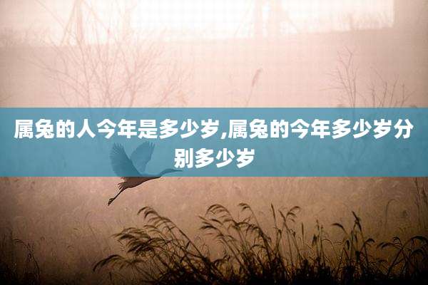 属兔的人今年是多少岁,属兔的今年多少岁分别多少岁