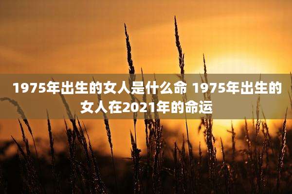 1975年出生的女人是什么命 1975年出生的女人在2021年的命运
