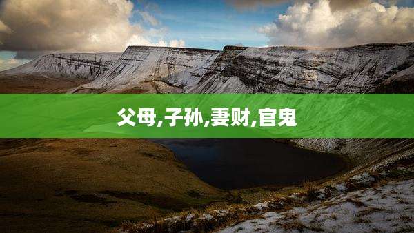 父母,子孙,妻财,官鬼