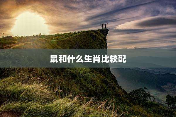 鼠和什么生肖比较配