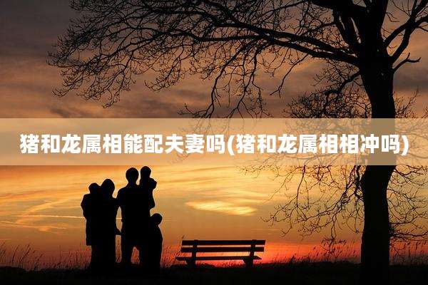 猪和龙属相能配夫妻吗(猪和龙属相相冲吗)
