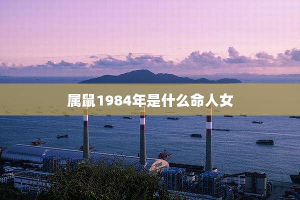 属鼠1984年是什么命人女