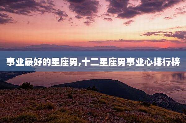 事业最好的星座男,十二星座男事业心排行榜
