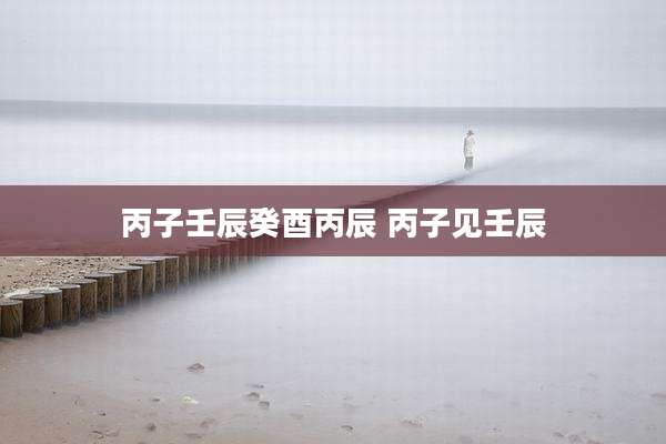 丙子壬辰癸酉丙辰 丙子见壬辰