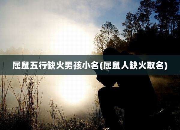 属鼠五行缺火男孩小名(属鼠人缺火取名)