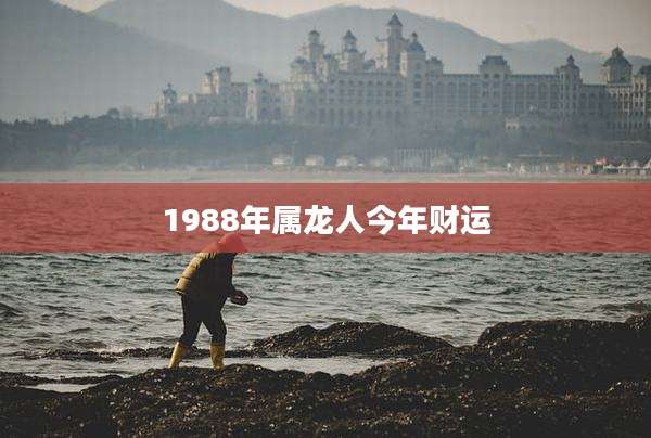 1988年属龙人今年财运