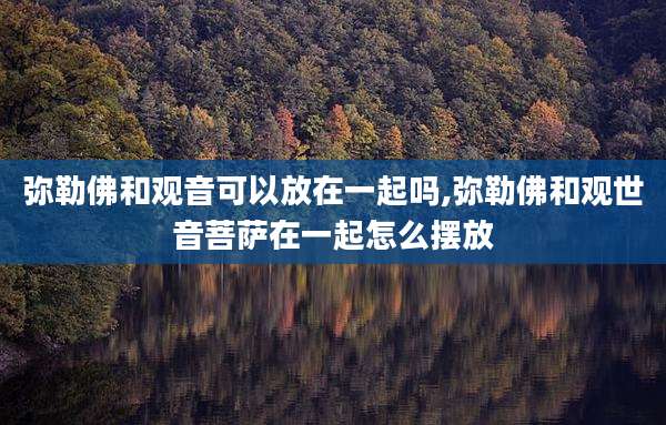 弥勒佛和观音可以放在一起吗,弥勒佛和观世音菩萨在一起怎么摆放