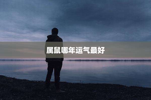 属鼠哪年运气最好