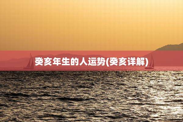 癸亥年生的人运势(癸亥详解)