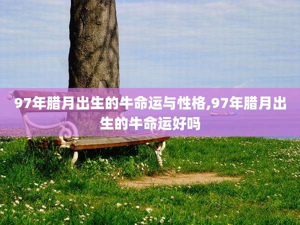 97年腊月出生的牛命运与性格,97年腊月出生的牛命运好吗