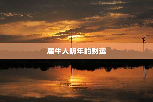 属牛人明年的财运
