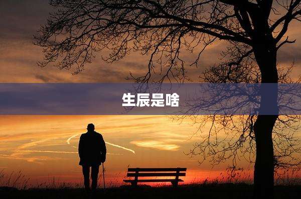 生辰是啥