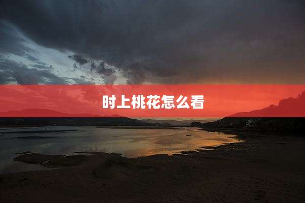 时上桃花怎么看