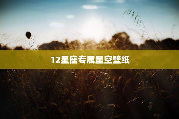 12星座专属星空壁纸