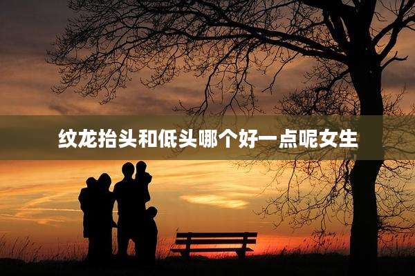 纹龙抬头和低头哪个好一点呢女生