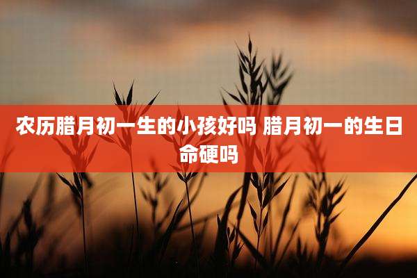 农历腊月初一生的小孩好吗 腊月初一的生日命硬吗