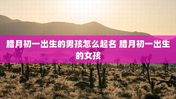 腊月初一出生的男孩怎么起名 腊月初一出生的女孩