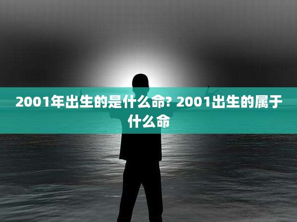 2001年出生的是什么命? 2001出生的属于什么命
