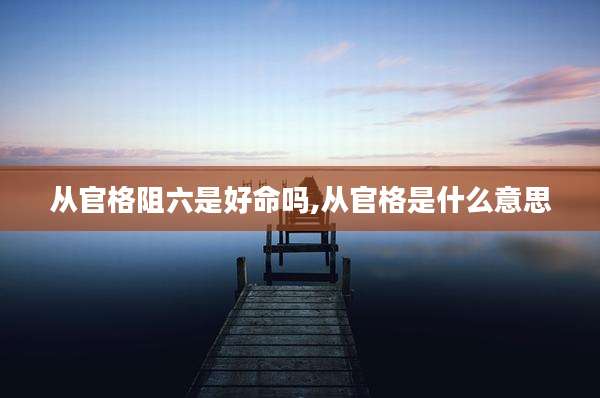 从官格阻六是好命吗,从官格是什么意思
