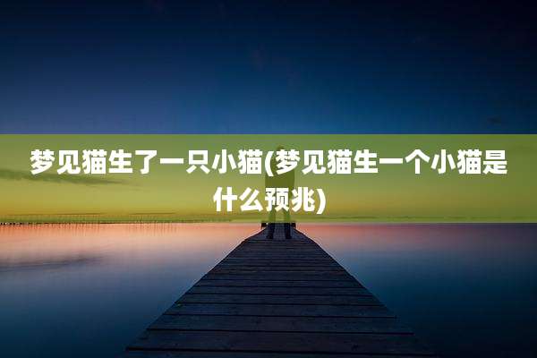 梦见猫生了一只小猫(梦见猫生一个小猫是什么预兆)