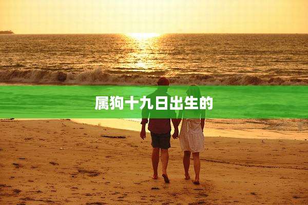 属狗十九日出生的