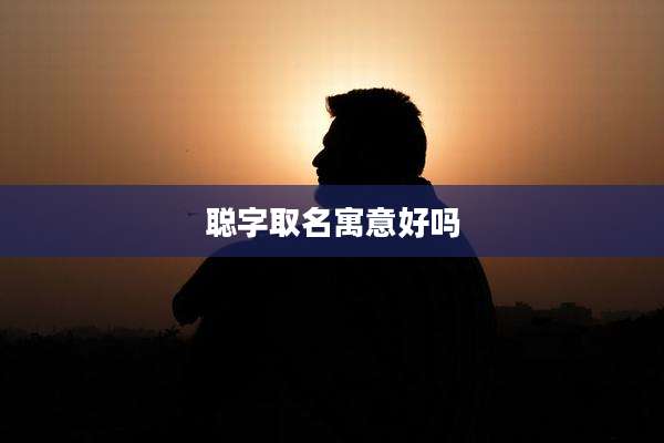 聪字取名寓意好吗