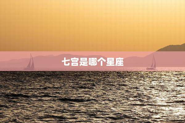 七宫是哪个星座
