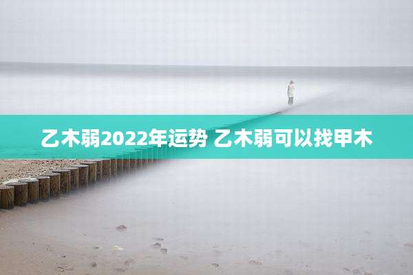 乙木弱2022年运势 乙木弱可以找甲木