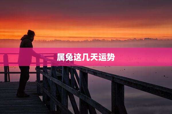 属兔这几天运势