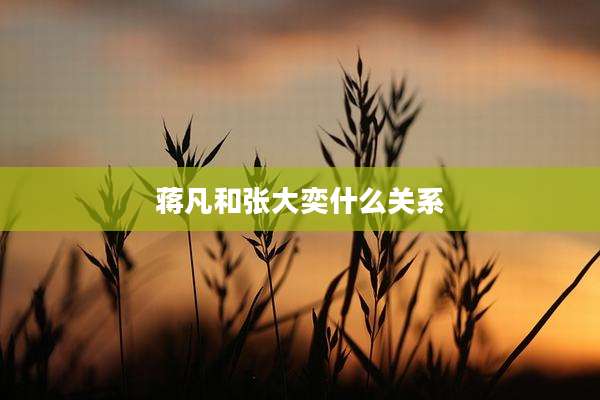 蒋凡和张大奕什么关系