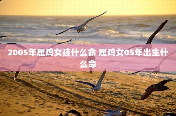 2005年属鸡女孩什么命 属鸡女05年出生什么命